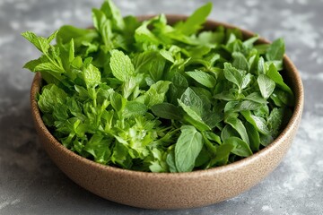 Fresh green herbs in a bowl on a rustic gray surface