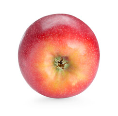 One fresh red apple isolated on white