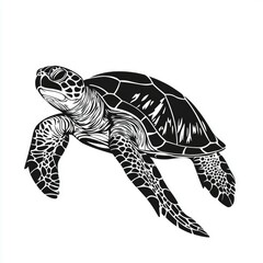 Fototapeta premium Sea Turtle: Black and White Ocean Wildlife Graphic