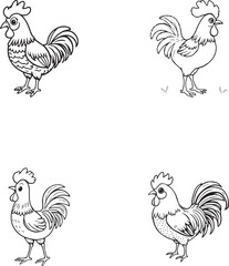Hand Draw Set Of Cute Rooster Vector Illustration Children Coloring book For Toddlers