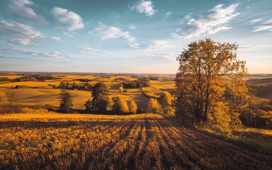Obraz premium Polish Countryside in Autumn, Poland Autumn landscape, hilly farmland at sunset.