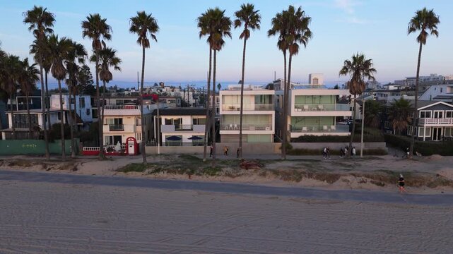 Senic view of the beachfront alongside swaying palm trees and a refreshing ocean breeze