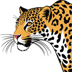 leopard vector illustration white background	
