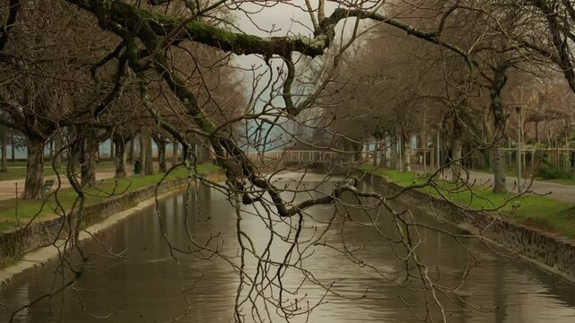Establishing shot of tree branch and La Morges river in Morges in Canton of Vaud Switzerland
