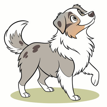 "Miniature Australian Shepherd" Images – Browse 1,068 Stock Photos