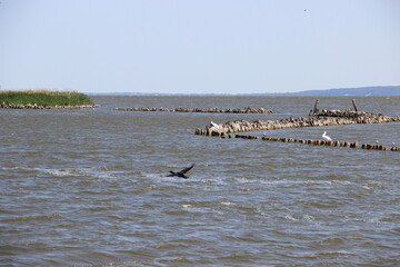 Baltiysk. Baltic Sea.