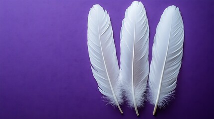 Naklejka premium Three white feathers on purple background; tranquil nature scene.