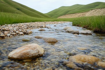 Beautiful mountain river with clear water and stones in the grassy summer landscape