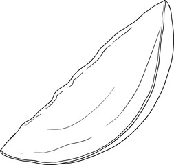 Hand drawn line mango. Tropical fruit vector illustration. Botanical vintage coloring pages