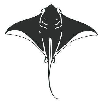 black stingray swimming white background clip art preview
