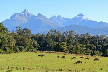 A picturesque scene of a blesbok herd grazing on an open plain with a mountain range in the background