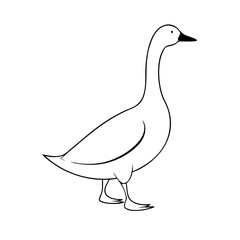 hand drawn illustration of a duck