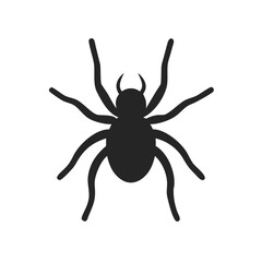 spider isolated