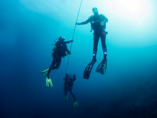 group of scuba divers in wetsuit diving holding on to the anchor line while making the safety stop before rising to the surface, concept of active leisure and underwater adventure, copyspace for text