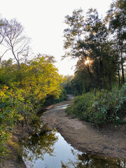 river in autumn forest