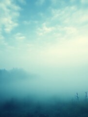 Fototapeta premium Misty morning landscape with fog over field.