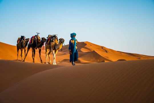 Berber man with tunic and camels in the desert, Erg Chebbi, Morocco