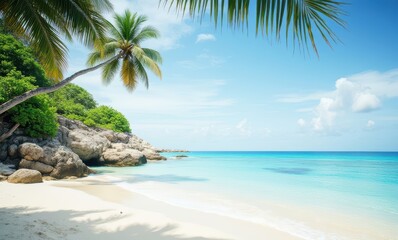 Tranquil beach with palm trees