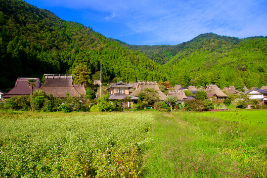 日本の原風景 Images – Browse 1,587 Stock Photos, Vectors