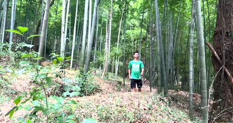 Hangzhou City, Zhejiang Province - Exploring the bamboo forest scenery at Xianghu Bamboo Village - Powered by Adobe