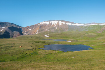 Fototapeta premium Scenic landscape with two alpine lakes among sunlit green meadows against mountain range with snow cornice under clear blue sky gradient. Colorful view to beautiful lake in high mountains in sunny day