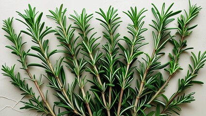 Fresh Rosemary Branches on Light Textured Background - Top View