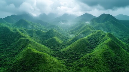 Naklejka premium Lush green mountains shrouded in mist, showcasing nature's beauty and tranquility.