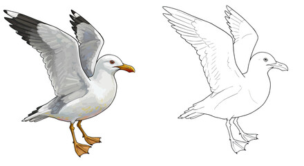 Obraz premium The coloring page of two seagulls is isolated on a transparent background for children's color fill.