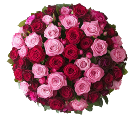bouquet of pink and red roses for valentines day