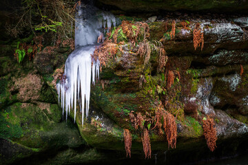 winterly rock art - wintzerliche Felsenkunst