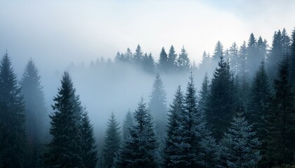 misty morning in the mountains
