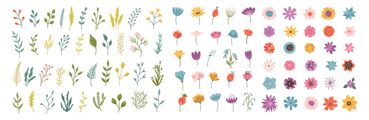 Meadow, forest and field flowers and plants, isolated blossom on season. Vector collection of buds, branches with leaves and flowerets on stems. Flourishing wildflowers. Summer and spring flora