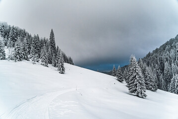 snow covered mountains