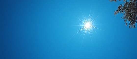 Bright sun shining in a clear blue sky with tree branch.
