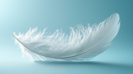 Obraz premium feather of a bird on a blue background.