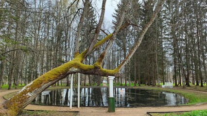 A park and a building of old poetical villa in Tver region 