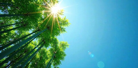 Tall bamboo trees against a clear blue sky with sunlight filtering through the leaves, blue, filter