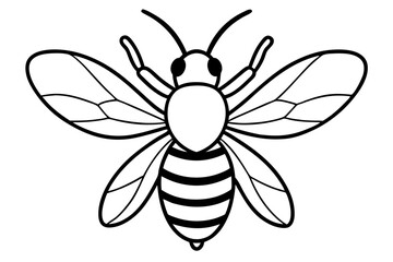 bee on white background