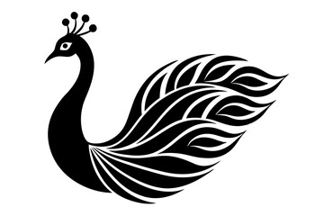 peacock feather isolated on white