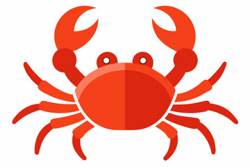 red crab isolated on white