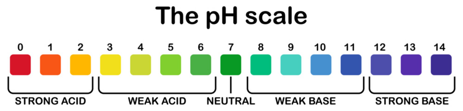 pH scale chart indicator diagram value acidic, neutral and alkaline solution.   Monitor pH for Alkaline neutral and Acid levels. Chart for the Acidic Neutral and Alkaline pH of various liquids.