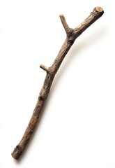 Walking stick on white background