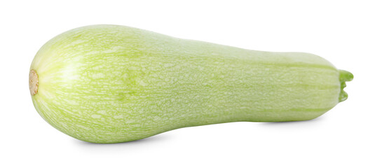One fresh ripe zucchini isolated on white