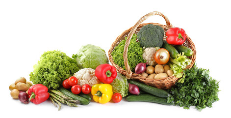 Many different fresh vegetables isolated on white
