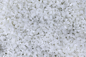 Background of round  rice in close-up