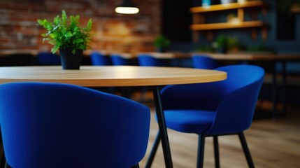 Modern Cafe Interior: Blue Chairs and Wooden Table
