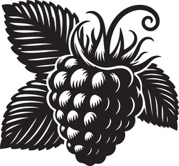 Raspberry silhouette vector art illustration. Raspberry vector icon illustration. Vector illustration. Silhouette of blackberry or raspberry fruit with stem. Healthy diet and vegetarian food. 