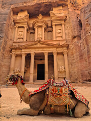 The archaeological treasury with camels in the city of Petra, the capital of the Nabataean state...