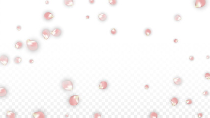 Pink Vector Realistic Petals Falling on Transparent Background. Spring Romantic Flowers Illustration. Flying Petals. Sakura Spa Design. Blossom Confetti. Design Elements for Wedding Decoration.