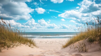 Serene Beach Path Through Dunes Under a Blue Sky.